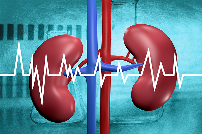 kidney failure acupressure treatment clinic in Delhi